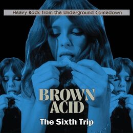 Various Artists - Brown Acid: The Sixth Trip CD