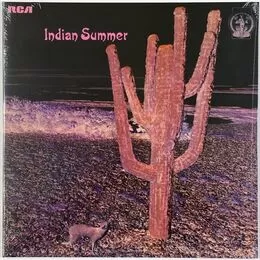 Indian Summer - Indian Summer LP Neon NE3
