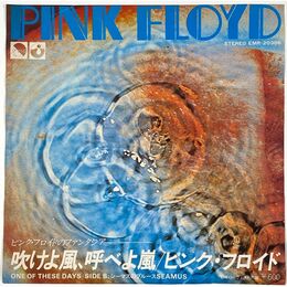 Pink Floyd - One Of These Days 7-Inch EMR-20388