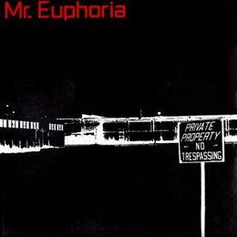 Mr Euphoria - Mr Euphoria LP LP