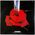 Scorpions - Tokyo Tapes 2-LP RCA 9147-48