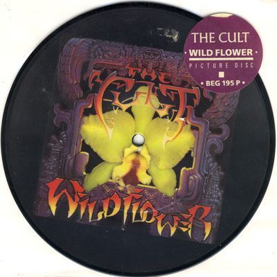 Cult, The - Wildflower 7inch Pic Disc