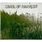 Carol of Harvest - Carol of Harvest CD ECD001